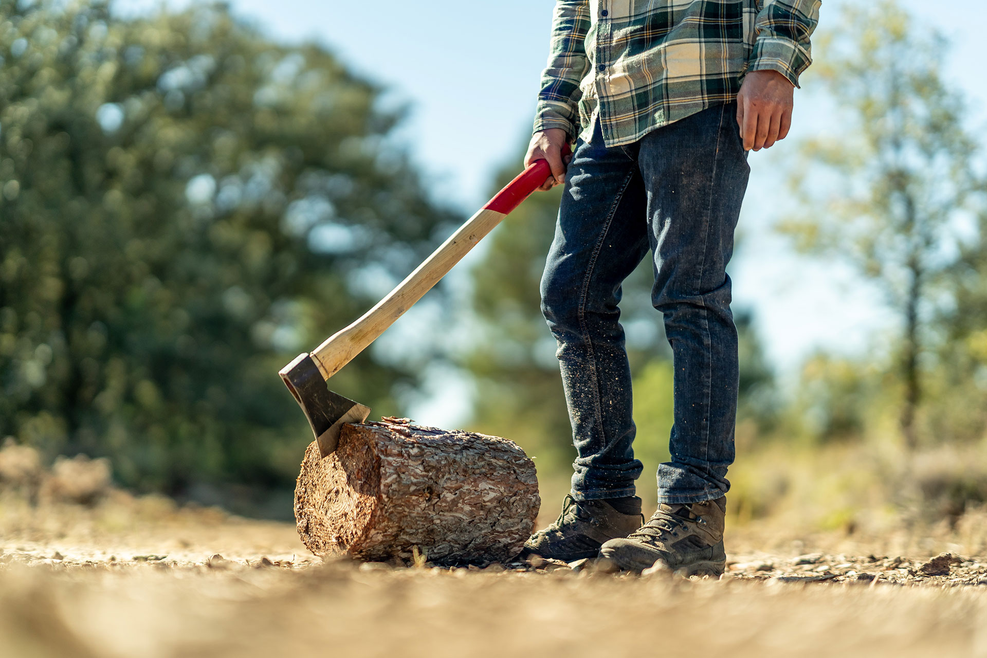 Logging